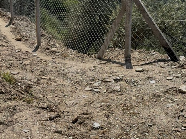🌿 İZMİR BAYINDIR SARIYURT’TA 477 m2 MANZARALI, ETRAFI ÇİTLE ÇEVRİLİ VE  KULLANIMA HAZIR ZEYTİNLİK - Görsel 6