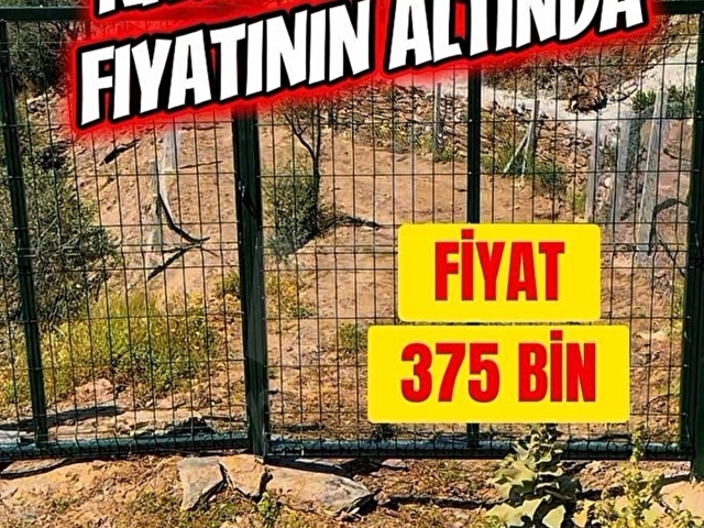 🌿 İZMİR BAYINDIR SARIYURT’TA 477 m2 MANZARALI, ETRAFI ÇİTLE ÇEVRİLİ VE  KULLANIMA HAZIR ZEYTİNLİK