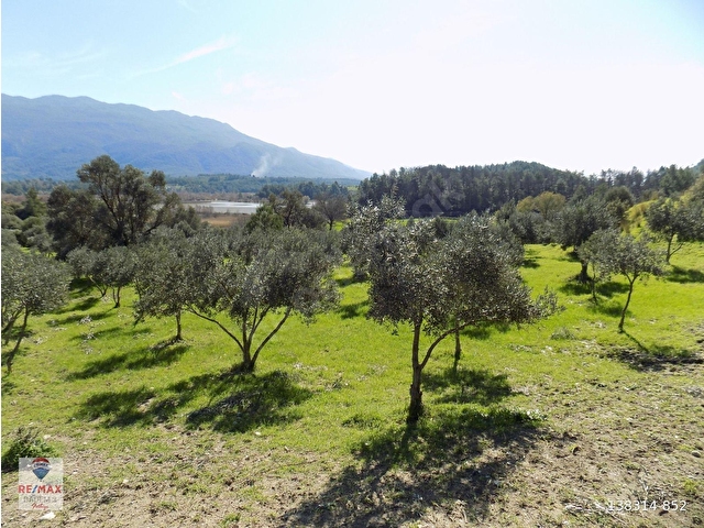 SEYDİKEMER ÇAYKENARI MAH.KÖYİÇİ İMARLI SATILIK ARAZİ - Görsel 8