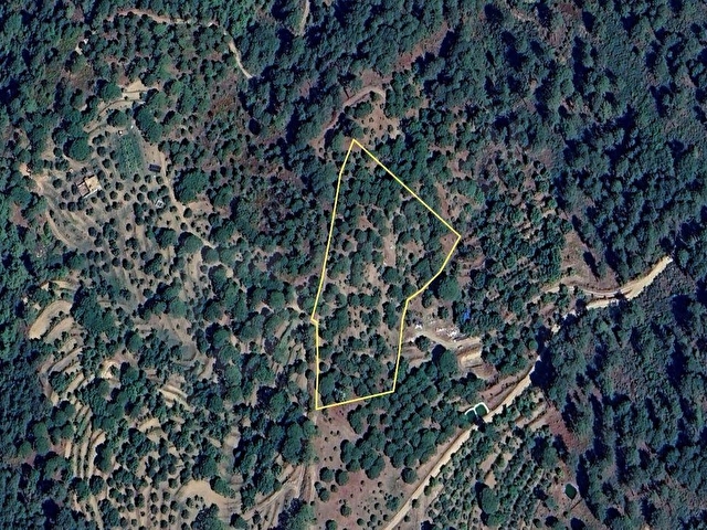 ALTINTAŞ BULGUR YAYLASINDA  İÇİNDE EVİ OLAN 11.281m2 MEYVE BAHÇESİ - Görsel 18