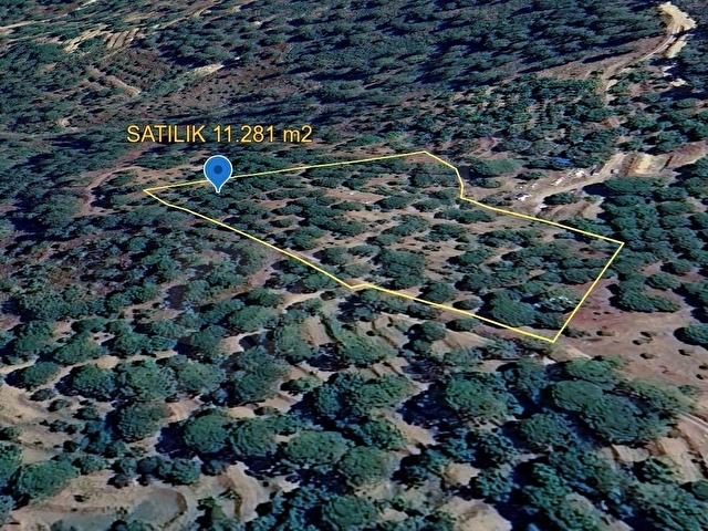 ALTINTAŞ BULGUR YAYLASINDA  İÇİNDE EVİ OLAN 11.281m2 MEYVE BAHÇESİ - Görsel 6