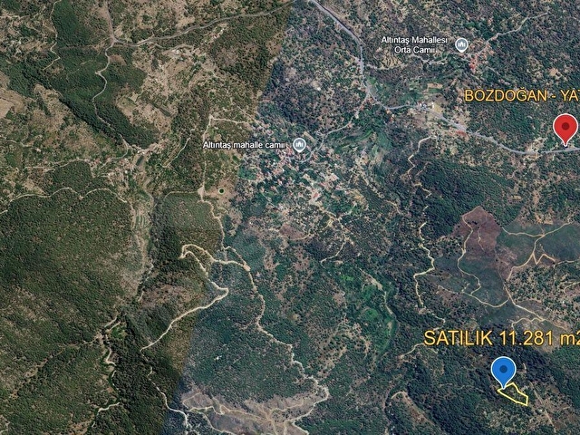 ALTINTAŞ BULGUR YAYLASINDA  İÇİNDE EVİ OLAN 11.281m2 MEYVE BAHÇESİ - Görsel 11