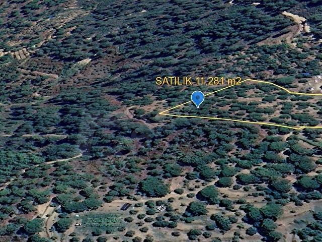 ALTINTAŞ BULGUR YAYLASINDA  İÇİNDE EVİ OLAN 11.281m2 MEYVE BAHÇESİ - Görsel 16