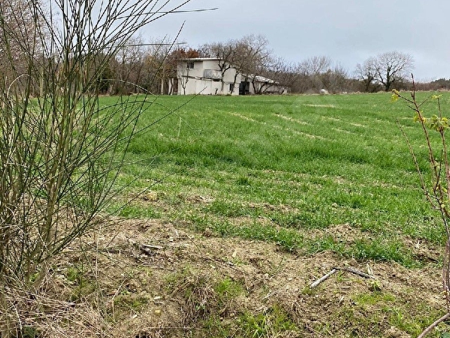 Sahibinden Çatalca Dağyenice Satılık Arsa - Görsel 6