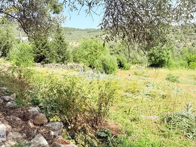BODRUM ÇAMLIK MAHALLESİNDE YOLA CEPHELİ SATILIK TARLA - Görsel 9