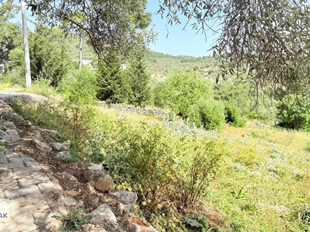 BODRUM ÇAMLIK MAHALLESİNDE YOLA CEPHELİ SATILIK TARLA - Görsel 2