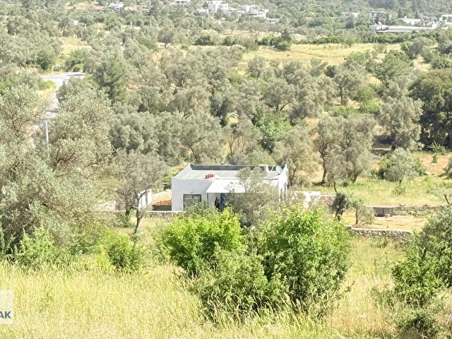 BODRUM ÇAMLIK MAHALLESİNDE YOLA CEPHELİ SATILIK TARLA - Görsel 8