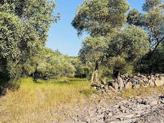 Milas Kısırlar Mahallesinde 1.600 metre² satılık tarla - Görsel 6