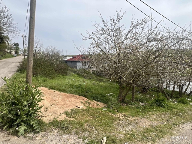 VADİTEPEÖRENDEN ETRAFI ÇEVRİLİ 470 M2 %35 İMARLI - Görsel 4