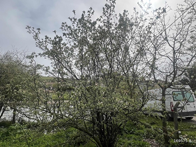 VADİTEPEÖRENDEN ETRAFI ÇEVRİLİ 470 M2 %35 İMARLI - Görsel 16