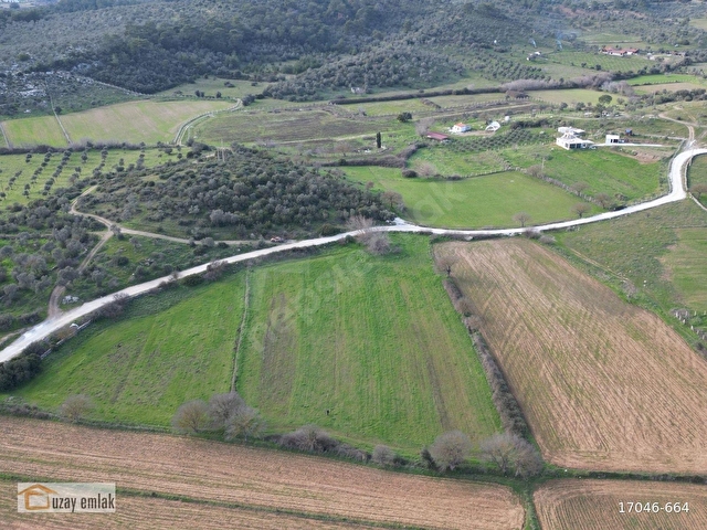 MUĞLA MİLAS KAZIKLIDA SATILIK TARLA - Görsel 9