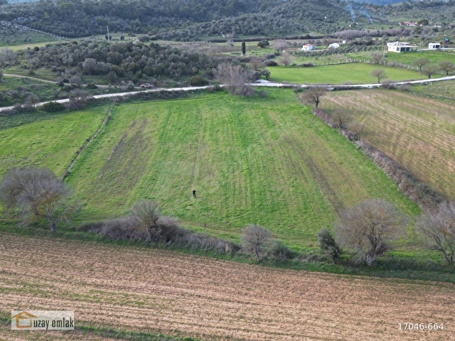 MUĞLA MİLAS KAZIKLIDA SATILIK TARLA - Görsel 10