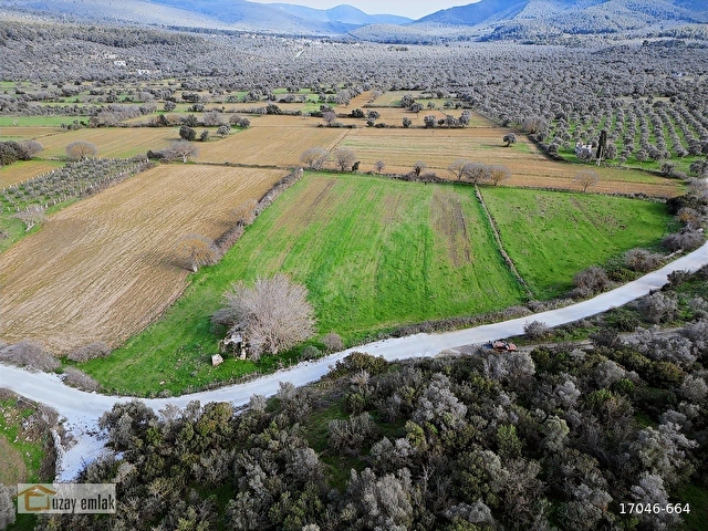 MUĞLA MİLAS KAZIKLIDA SATILIK TARLA - Görsel 2