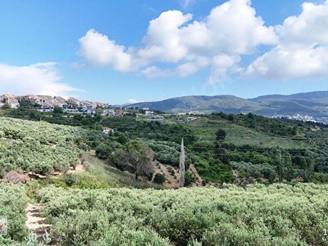 Kuşadası Caferlide 37.690 m² Tarla - Görsel 12