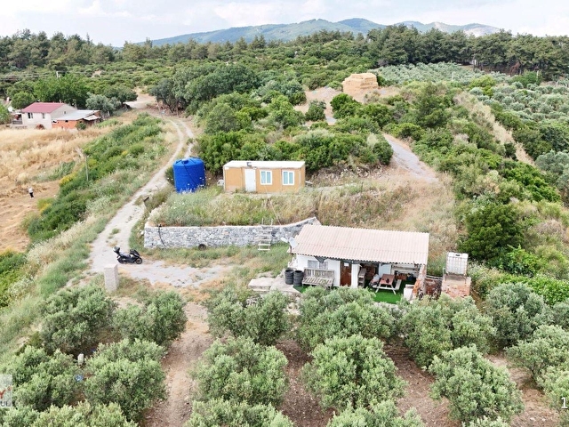 Kuşadası Caferlide 37.690 m² Tarla - Görsel 2