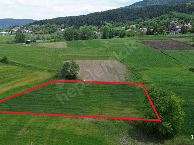 BOLU MANZARALI KINDIRA KÖYÜNDE SATILIK TARLA - Görsel 6