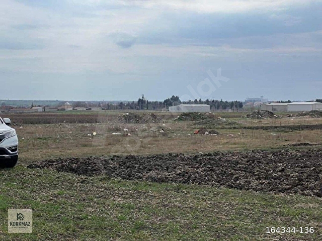 Saray Beyazköyde Satılık Tarla 6.252 m2 Müstakil Tek Tapu imara sınır ARAZİ - Görsel 4