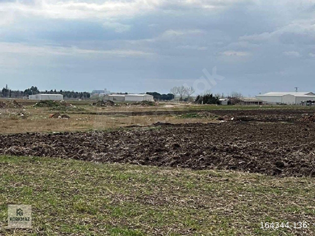 Saray Beyazköyde Satılık Tarla 6.252 m2 Müstakil Tek Tapu imara sınır ARAZİ - Görsel 5