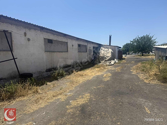 EGE AYYILDIZDAN YATIRIMLIK TARLA VE HAZIR TAVUK ÇİFTLİĞİ - Görsel 25