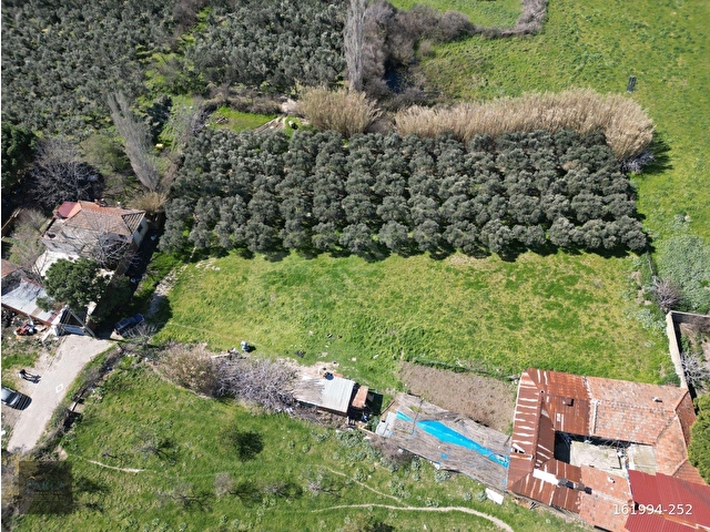 Burhaniye Çoruk Satılık