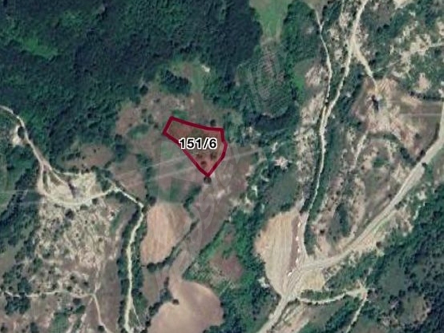 DALLICA MEVKİİNDE SATILIK 5100 M2 TARLA