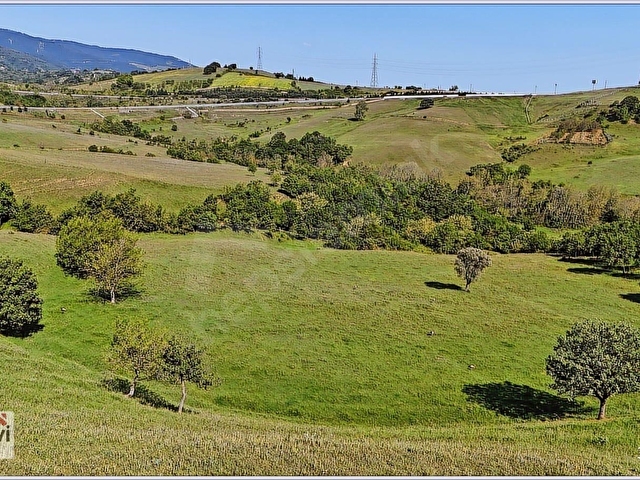 YALOVA MERKEZ GÜNEY KÖYDE 16745 m2 UYGUN FİYATLI FIRSAT ARAZİ - Görsel 17