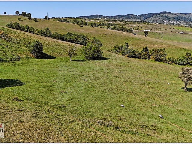 YALOVA MERKEZ GÜNEY KÖYDE 16745 m2 UYGUN FİYATLI FIRSAT ARAZİ - Görsel 16