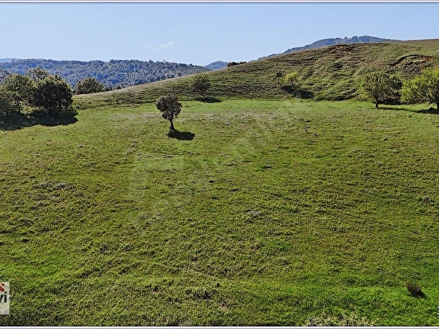 YALOVA MERKEZ GÜNEY KÖYDE 16745 m2 UYGUN FİYATLI FIRSAT ARAZİ - Görsel 12