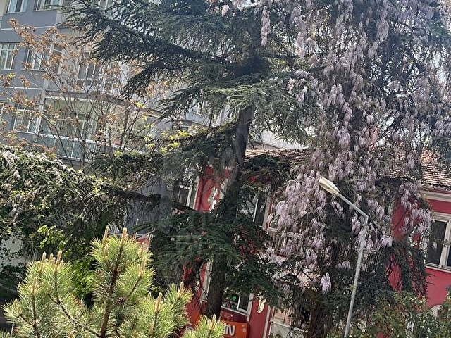 Sahibinden- Gökdere Sokak’ta/ Ön Cephe- 3. Kat-Tadilatı Yeni Tamamlanmış - Görsel 17