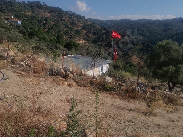 SÖKE BAĞARASI AVCILARDA SATILIK 2 DÖNÜM CENNET BAHÇESİ! - Görsel 12