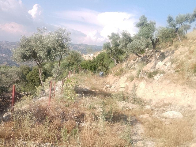SÖKE BAĞARASI AVCILARDA SATILIK 2 DÖNÜM CENNET BAHÇESİ! - Görsel 20