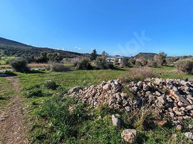 ÇEŞME ILDIR MEVKİNDE KADASTRAL YOLA CEPHELİ SATILIK 5.600 M2 TARLA - Görsel 2
