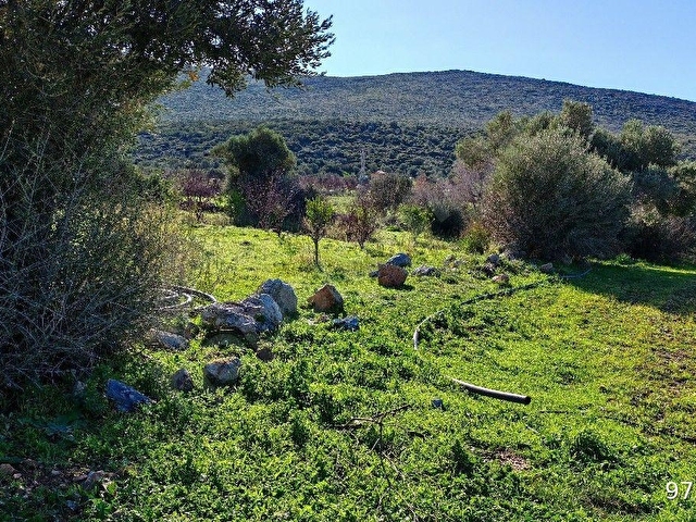 ÇEŞME ILDIR MEVKİNDE KADASTRAL YOLA CEPHELİ SATILIK 5.600 M2 TARLA - Görsel 9