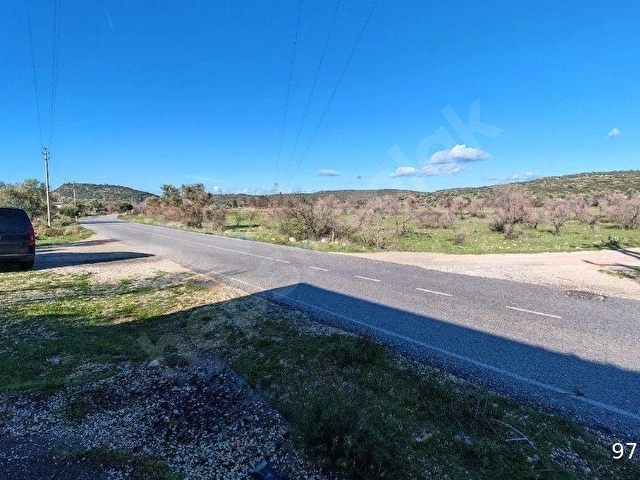 ÇEŞME ILDIR MEVKİNDE KADASTRAL YOLA CEPHELİ SATILIK 5.600 M2 TARLA - Görsel 13