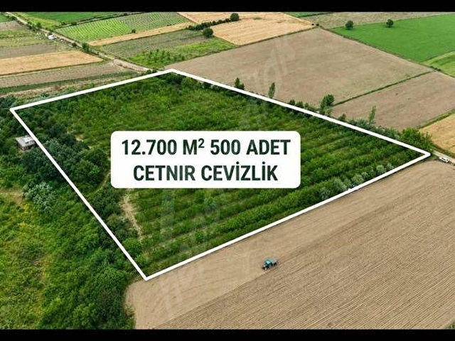 ULUPINAR EMLAKTAN SATILIK CEVİZLİK - Görsel 3