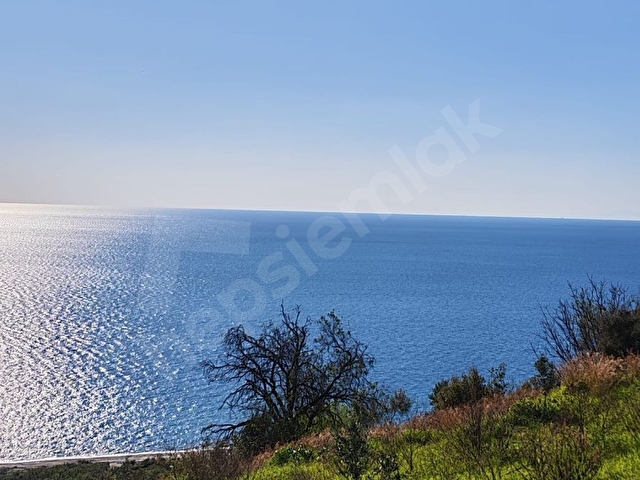 KEŞEFLİDE FULL DENİZ MANZARALI 3246M² SATILIK TARLA - Görsel 3