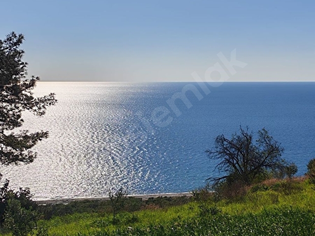 KEŞEFLİDE FULL DENİZ MANZARALI 3246M² SATILIK TARLA - Görsel 2