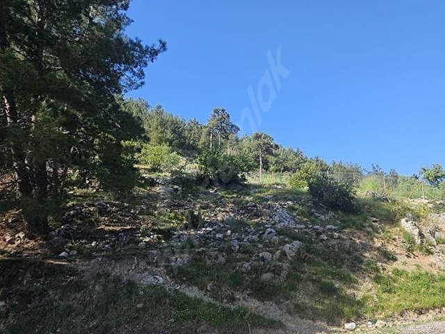 Muğla Denizovada Asfalta Sıfır 1.235 m2 Fırsat Arazi - Görsel 7