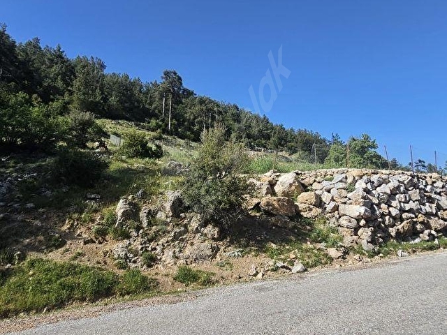 Muğla Denizovada Asfalta Sıfır 1.235 m2 Fırsat Arazi - Görsel 4