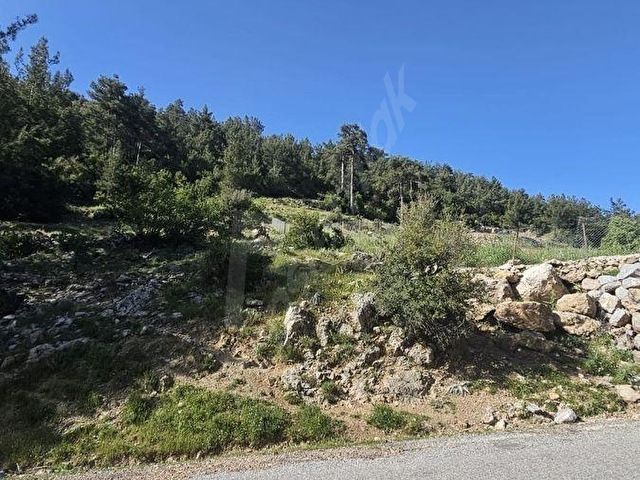 Muğla Denizovada Asfalta Sıfır 1.235 m2 Fırsat Arazi - Görsel 3