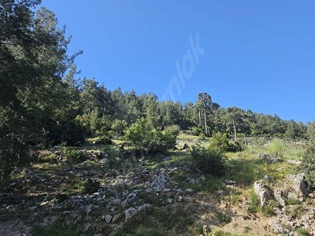 Muğla Denizovada Asfalta Sıfır 1.235 m2 Fırsat Arazi - Görsel 10