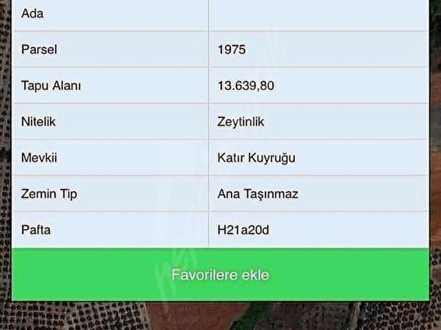 Mudanya Hançerlide Köye Yakın Yatırımlık Satılık 14Dönüm Zeytin - Görsel 20