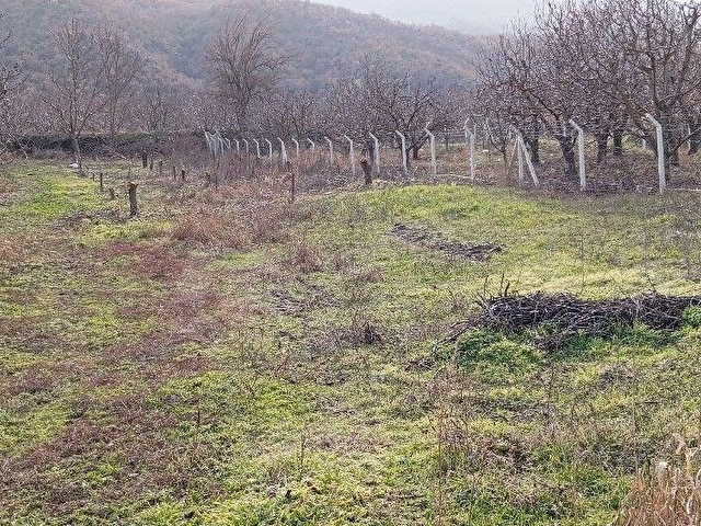 Amasya, Sevincer, köyü satılık bag