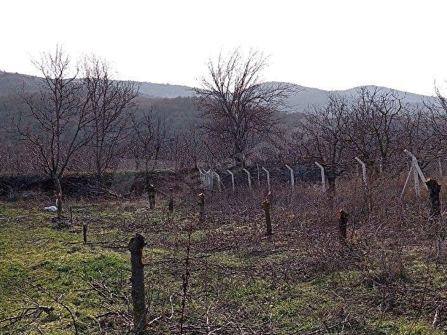 Amasya, Sevincer, köyü satılık bag - Görsel 4