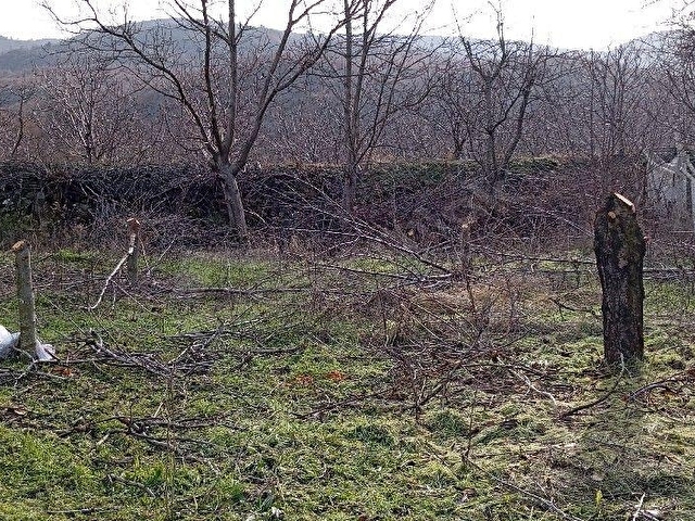Amasya, Sevincer, köyü satılık bag - Görsel 6