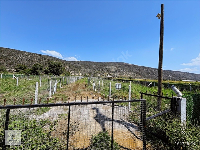 MUĞLA MİLASTA SATILIK 250 m2 TURİZİM BÖLGESİNDE BAHÇELER - Görsel 8