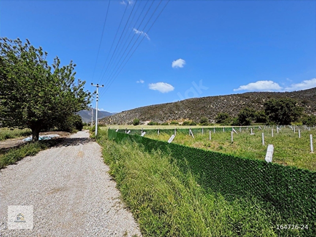 MUĞLA MİLASTA SATILIK 250 m2 TURİZİM BÖLGESİNDE BAHÇELER - Görsel 7