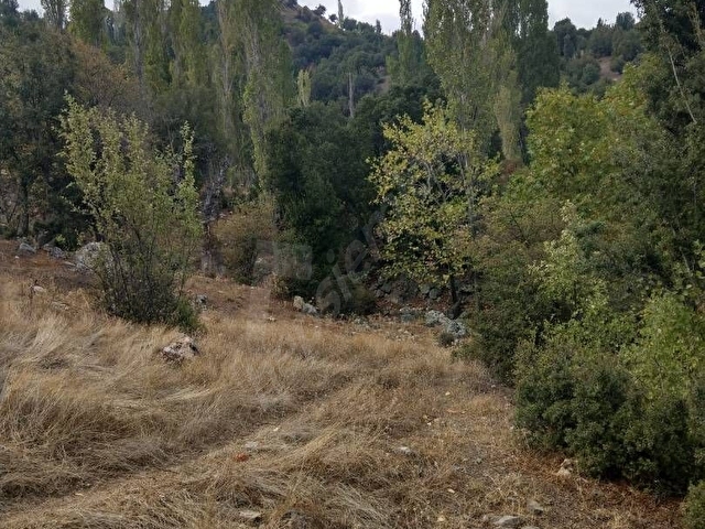 kumluca büyükalan mahallesi satılık bahçe