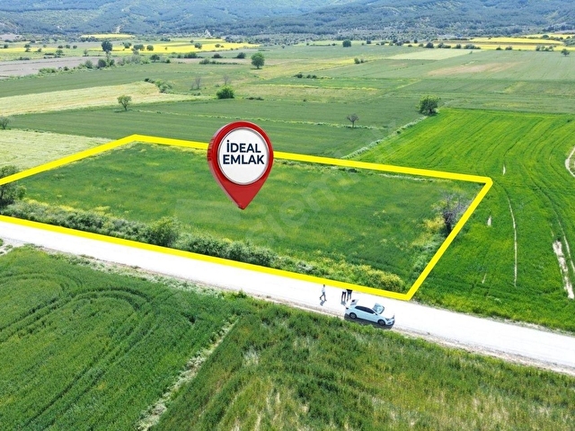 Eceabat Beşyolda Ana Yola Cepheli 3.329 m2 Fırsat Arazi - Görsel 2