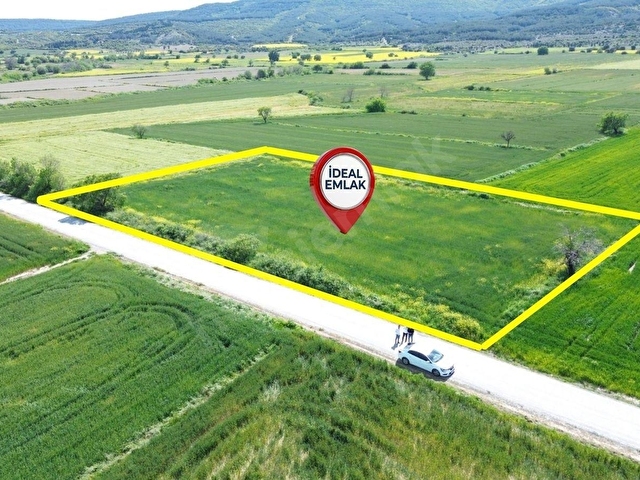 Eceabat Beşyolda Ana Yola Cepheli 3.329 m2 Fırsat Arazi - Görsel 3